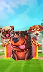 The Dog House